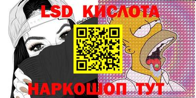 мяу мяу мука Краснознаменск
