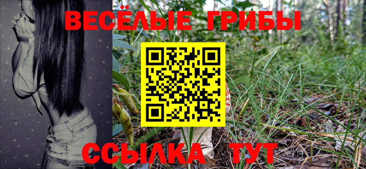 Галлюциногенные грибы Cubensis  где найти   Галлюциногенные грибы Psilocybine cubensis  Кирово-Чепецк  Вход с VPN 